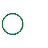icon expert b